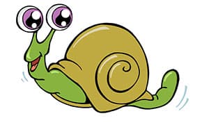 snail facts for kids