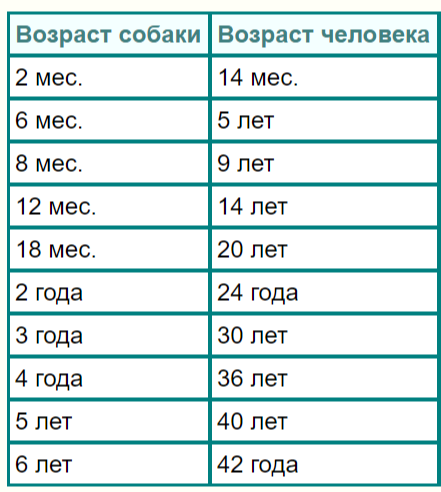 5 человеческим годам