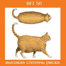 степень ожирения кошки -4