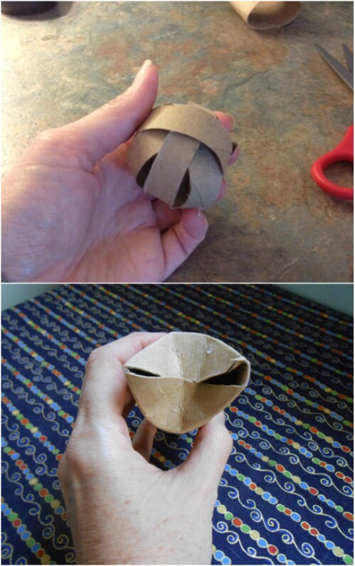 Toilet Paper Roll Dog Toy