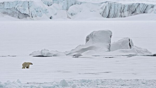 Белый медведь на льдине в Северном ледовитом океане.