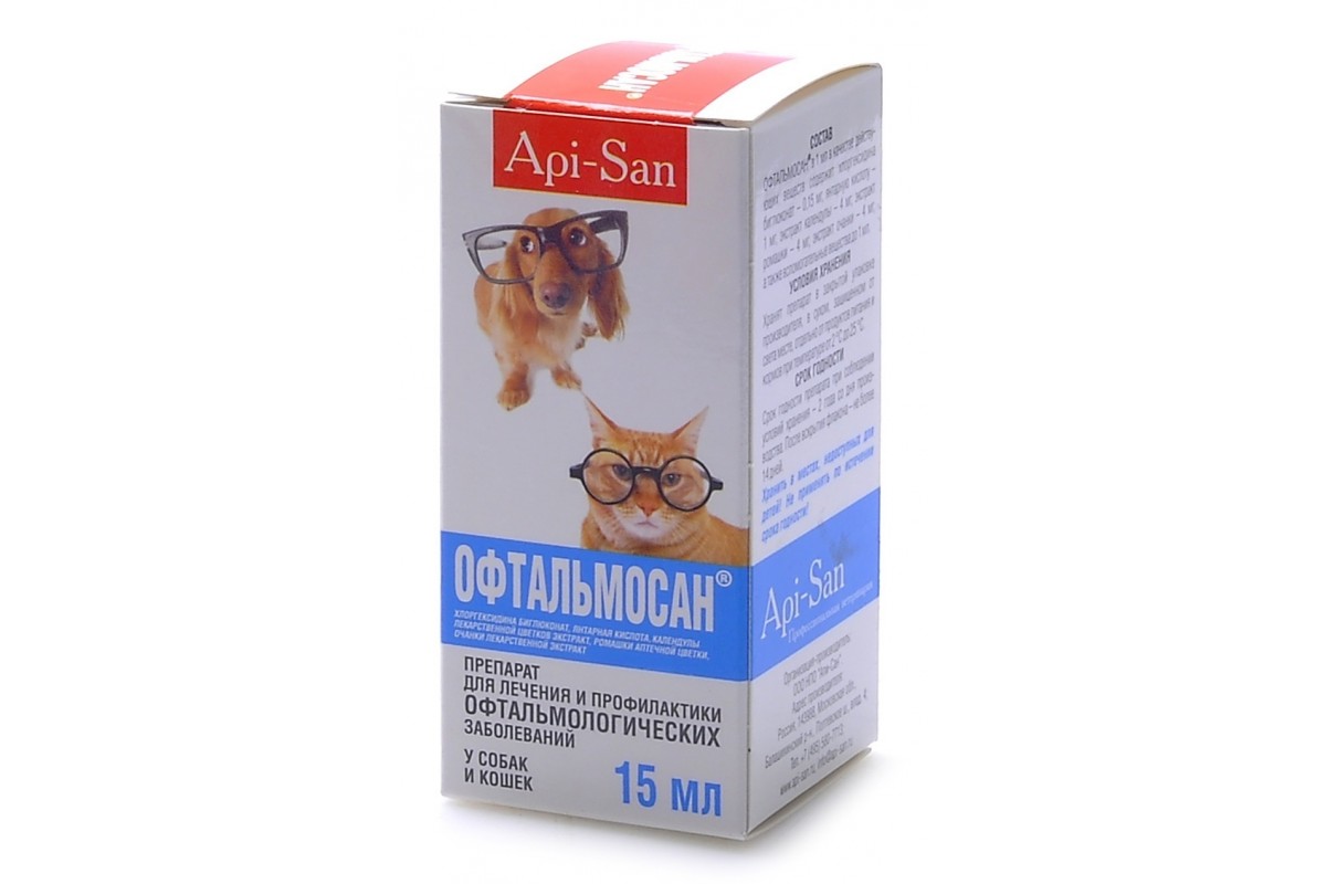 Антибиотик для глаз кошке. Офтальмосан глазные капли 15мл. Офтальмосан глазные капли для собак. Офтальмосан для кошек. Капли для кошек для глаз от воспаления антибактериальные.