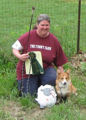A lady in a burgundy shirt that reads - The Funny Farm - is kneeling next to the tan with white Pembroke Welsh Corgi dog with a green ribbon and a pole with a rope on the end in her hand. There is a plush sheep doll next to it.