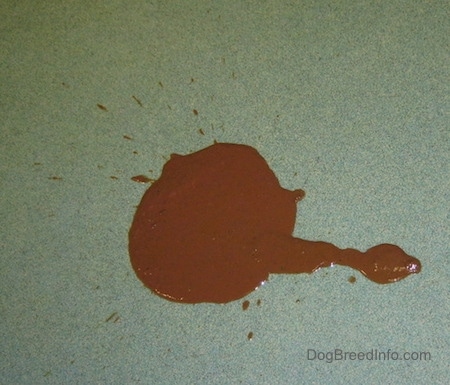 Brown runny diarrhea splattered on a green floor
