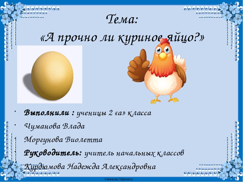 Пословицы яичко. А прочно ли куриное яйцо проект. Исследовательская тема а прочно ли куриное яйцо. Презентация на тему яйцо куриное. Яйца для презентации.