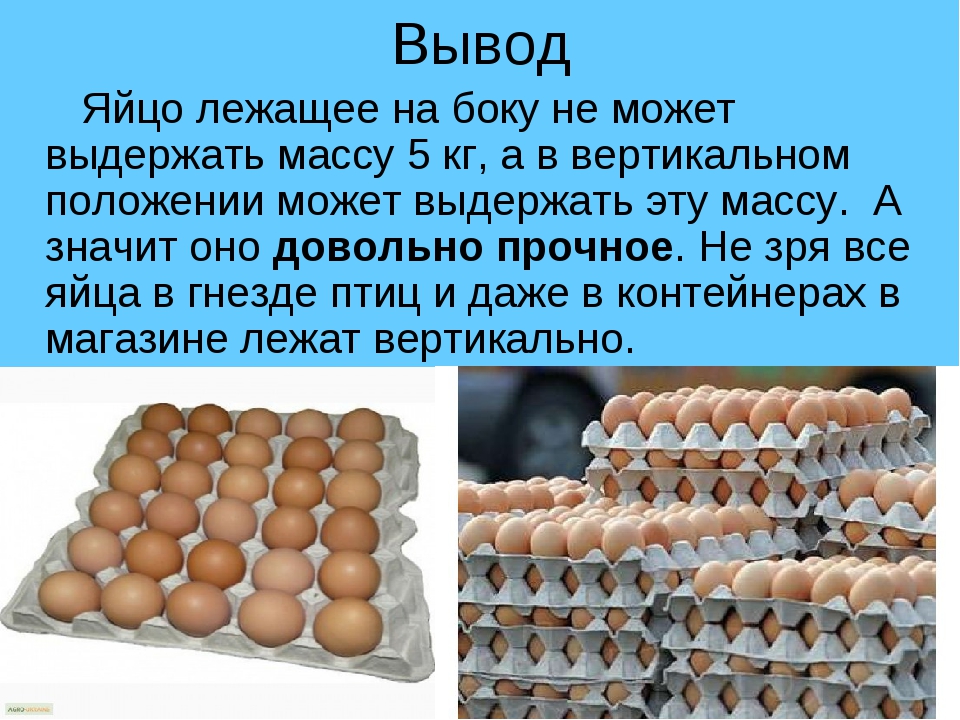 Вывод яйца игра. Яйца для презентации. Яйцо презентация для детей. Куриное яйцо презентация. Прочно ли куриное яйцо.