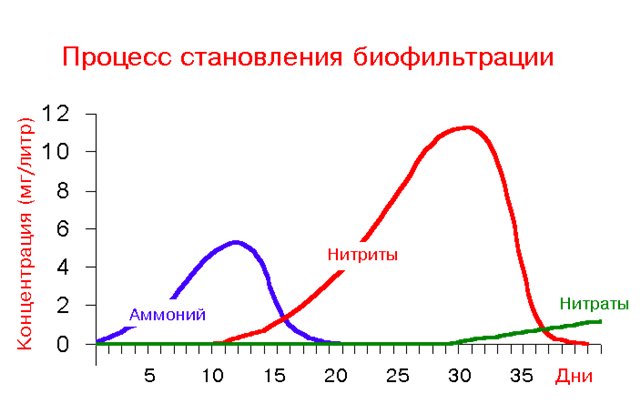 таблица роста концентрации нитритов и нитатов в аквариуме