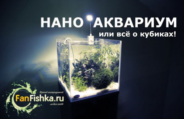 Нано аквариум или все о кубиках