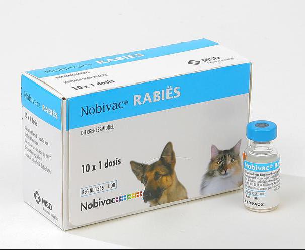 вакцина для кошек и собак