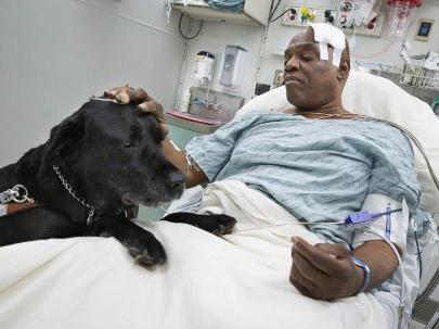 Как собаки помогают инвалидам