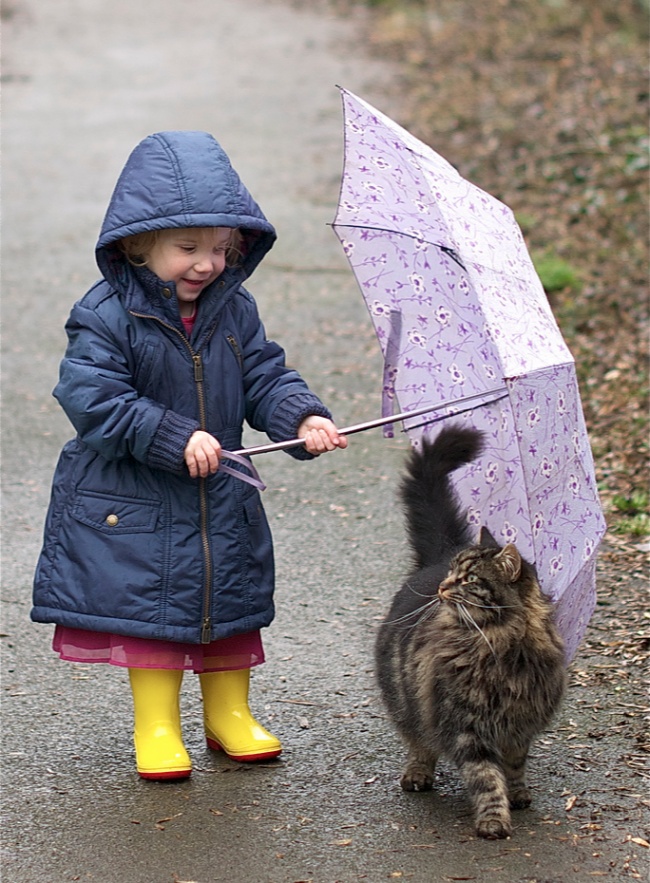 10. С котом ребенку хорошо в любую погоду.