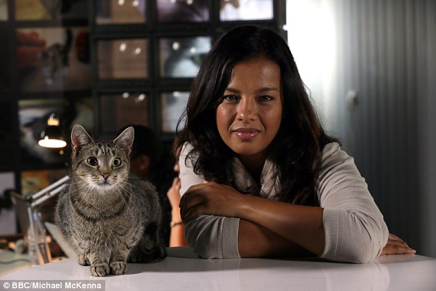 The programme shows that the village and city cats tracked with GPS collars still hunt in nearby woods and bring home kills at least four times a week, including large birds such as seagulls. Horizon presenter Dr Liz Bonnin is pictured with one of the cats featured