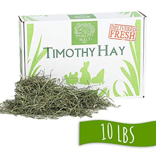 Small Pet Select 2nd Cutting Timothy Hay Pet Food, 10-Pound