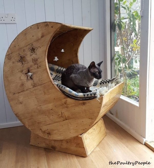 DIY cat bed