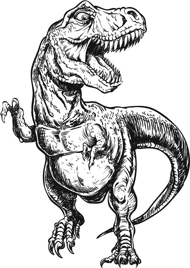 Hand Drawn Tyrannosaurus Dinosaur