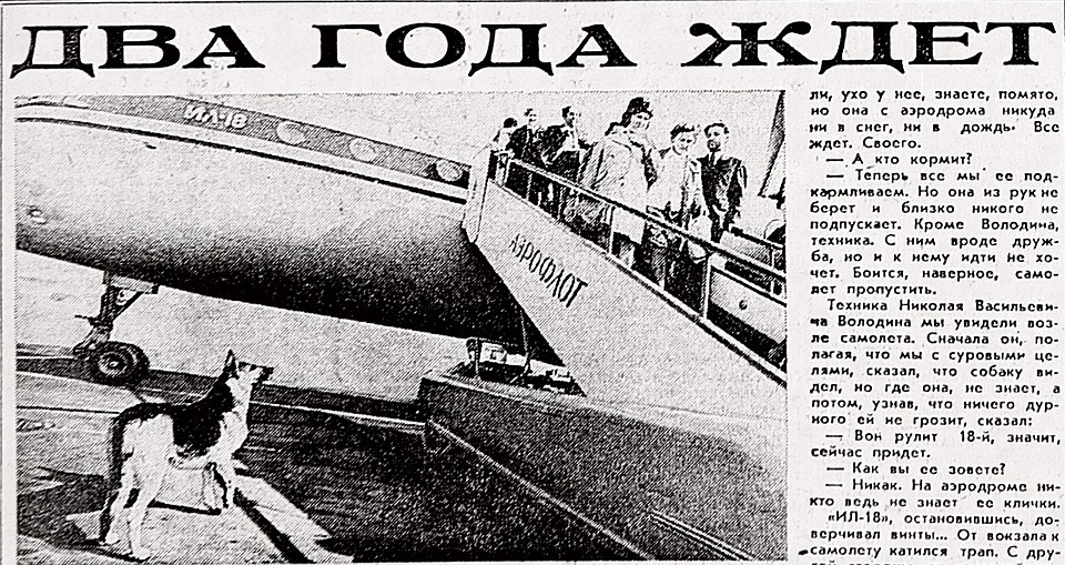 Историю Пальмы, напечатанную в «Комсомолке», узнал весь Советский Союз. Фото: скрин газетной полосы 