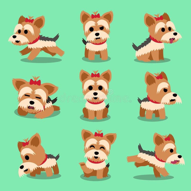 Cartoon character yorkshire terrier dog poses set vector illustration