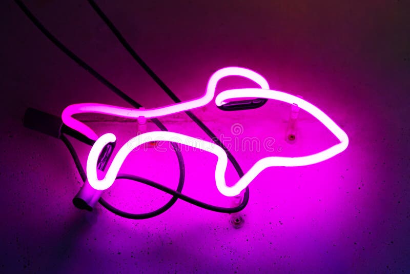 Colorful neon lights in the form of fish in the window of a Japanese restaurant.  royalty free stock image