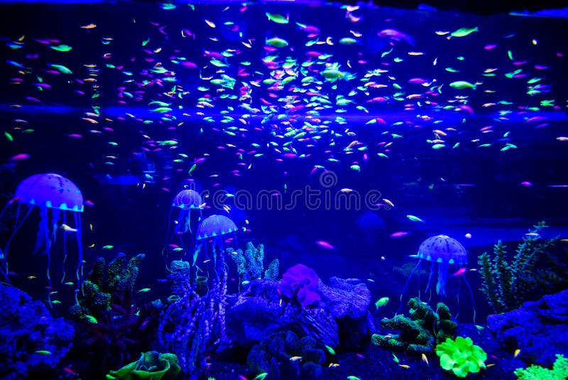 Neon fish stock image