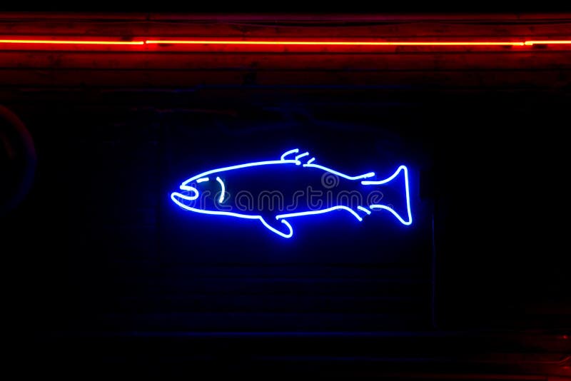 Neon fish. Neon sign shaped like a fish against a wooden wall stock image