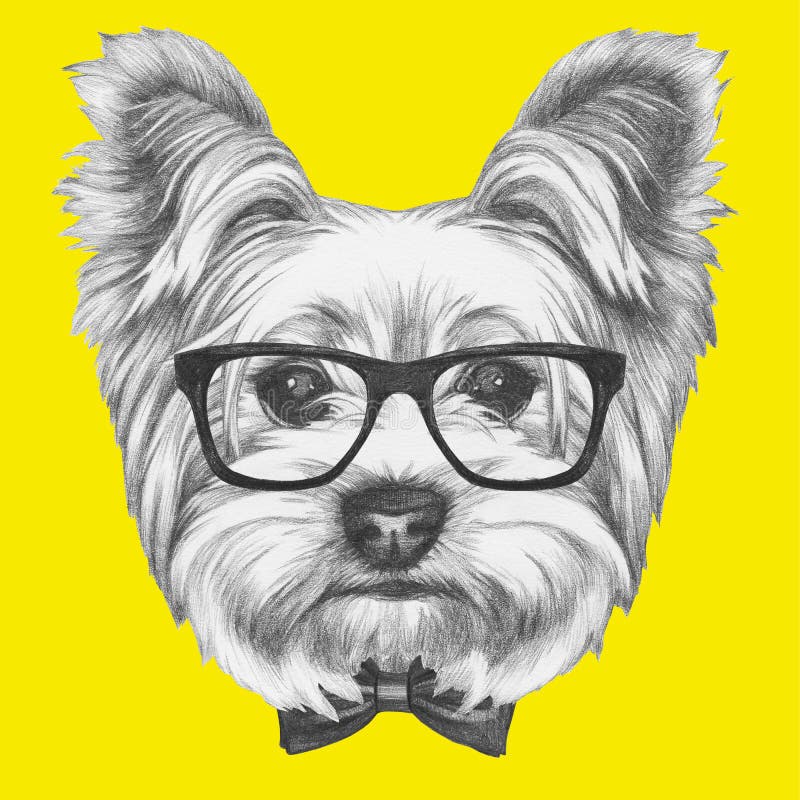 Portrait of Yorkshire Terrier Dog with glasses and bow tie. royalty free illustration