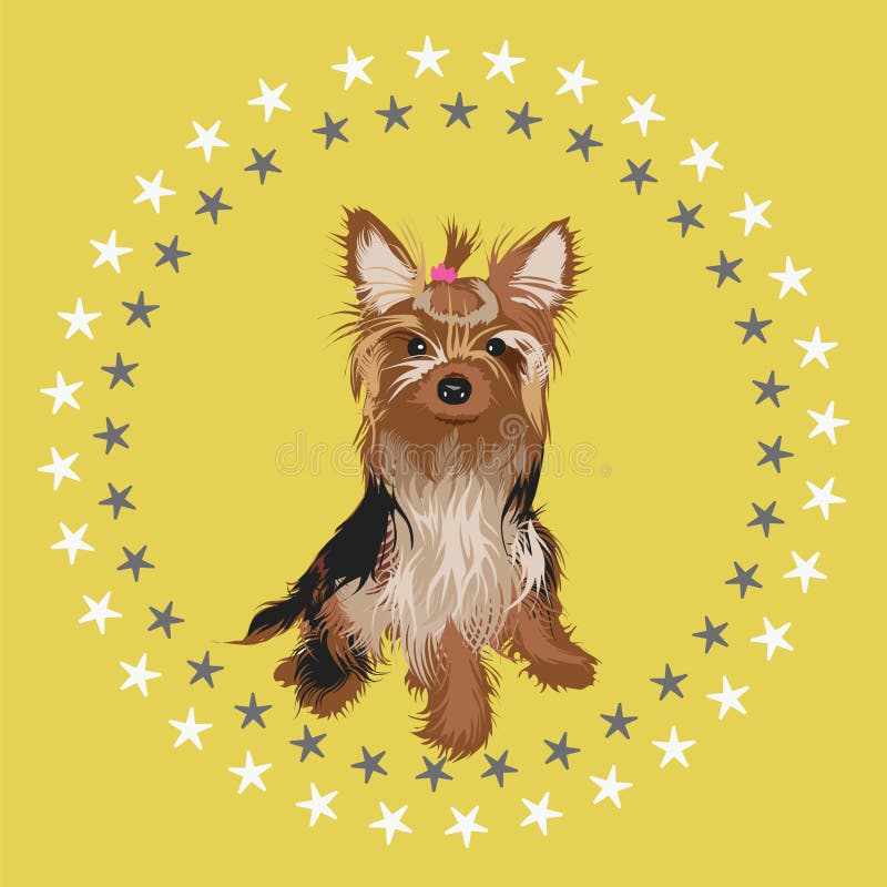 Yorkshire terrier illustration stock illustration