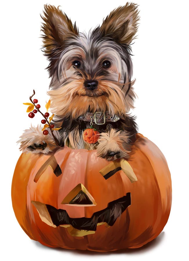 Yorkshire Terrier painting vector illustration