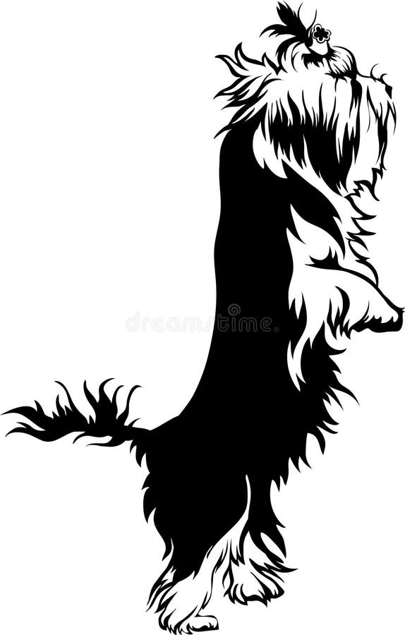 Yorkshire Terrier royalty free illustration