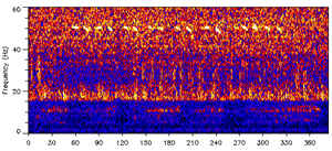 A spectrogram of the 52-hertz signal
