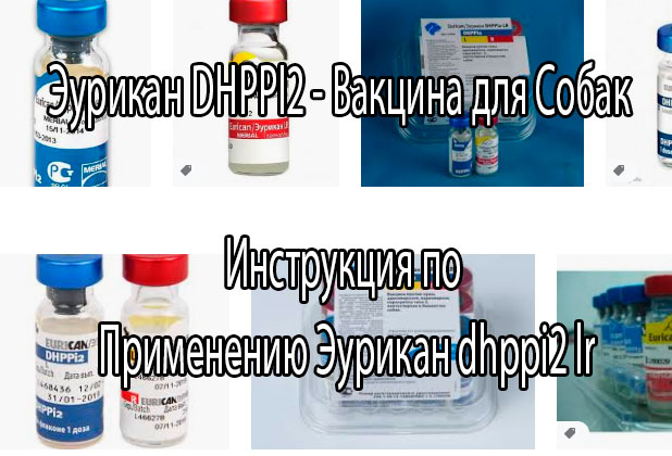 Инструкция по применению вакцины  Эурикан DHPPI (DHPPI2, dhppi2 lr и dhppi2 l) для собак