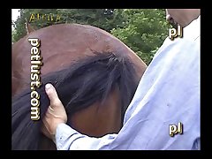 Gay Zoo Petlust Men & Stallion [divx] (part 3)