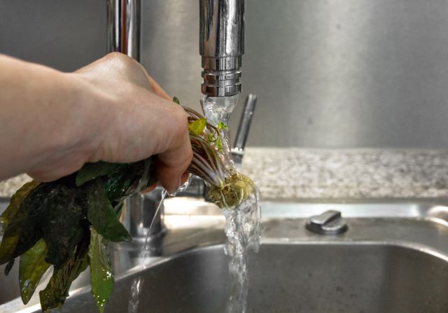 Rinsing off a Cryptocoryne