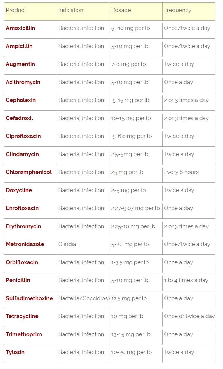 Dog medication dosage chart for antibiotics