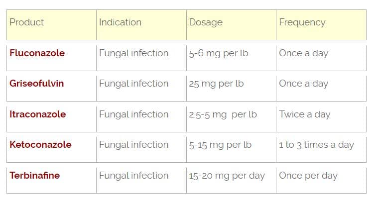 Dosage chart of anti-fungal medications for dogs