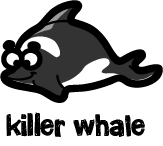 illustration of a cartoon killer whale