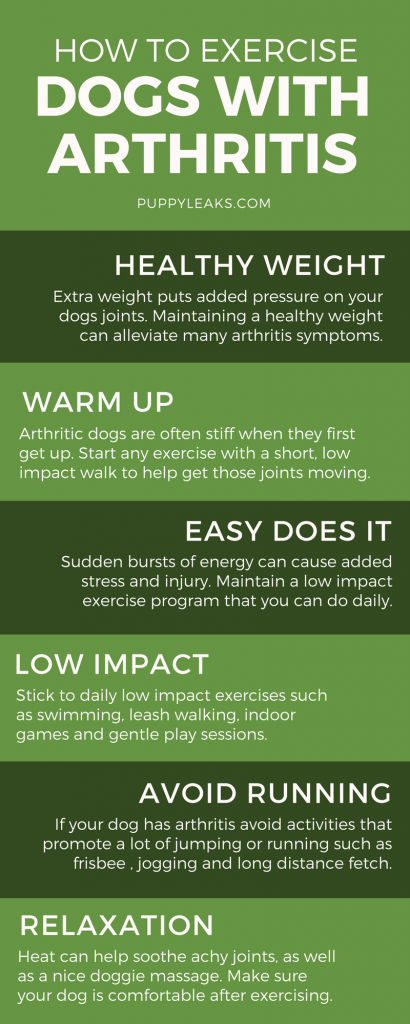 How to Exercise a Dog With Arthritis. Exercising a dog with arthritis or other mobility issues can be tricky; too much exercise can cause pain, and too little can make the condition worse. Here