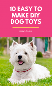 Easy to Make DIY Dog Toys