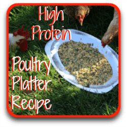 A high protein platter recipe - link.