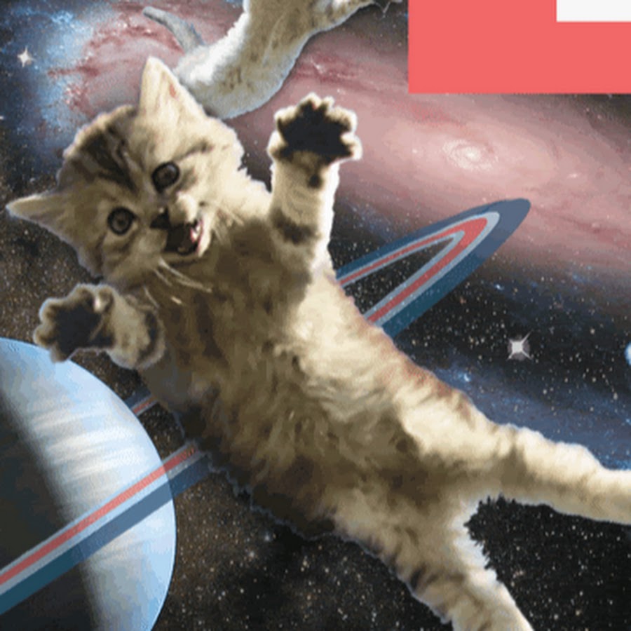 Включи видео где котик. Котик в космосе. Котейка в космосе. Кот улетает в космос. Кот летает в космосе.